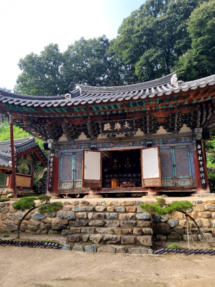  당일치기 언택트 사찰여행(영천 영지사)