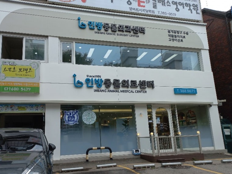 안양동물병원 노견강아지 신체검사비/린방동물의료원
