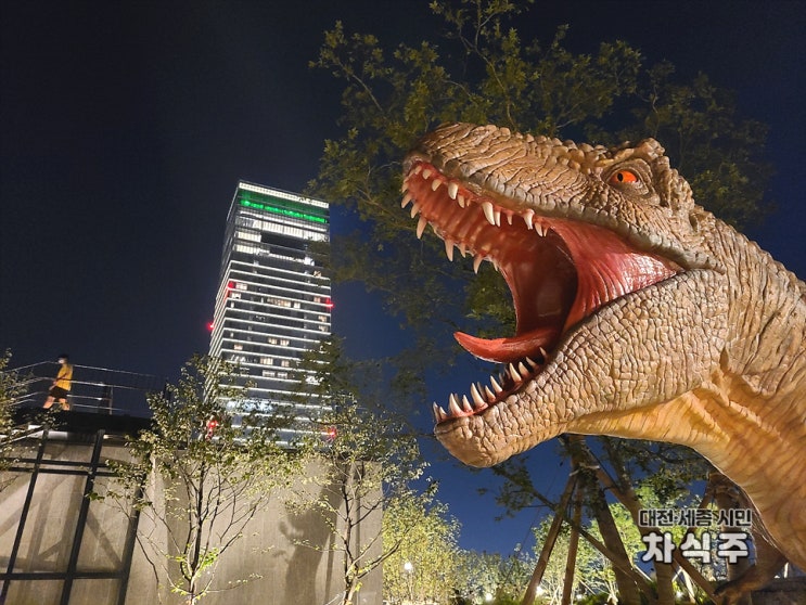  대전 신세계백화점 옥상정원 야경 후기