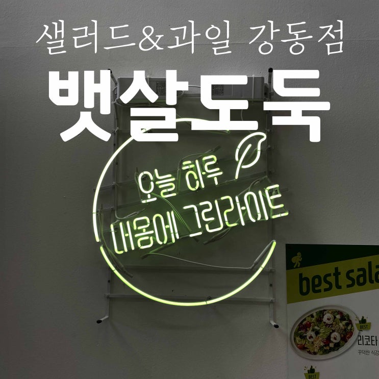  강동 강동역 배달 테이크아웃 샐러드 과일 맛집 뱃살도둑