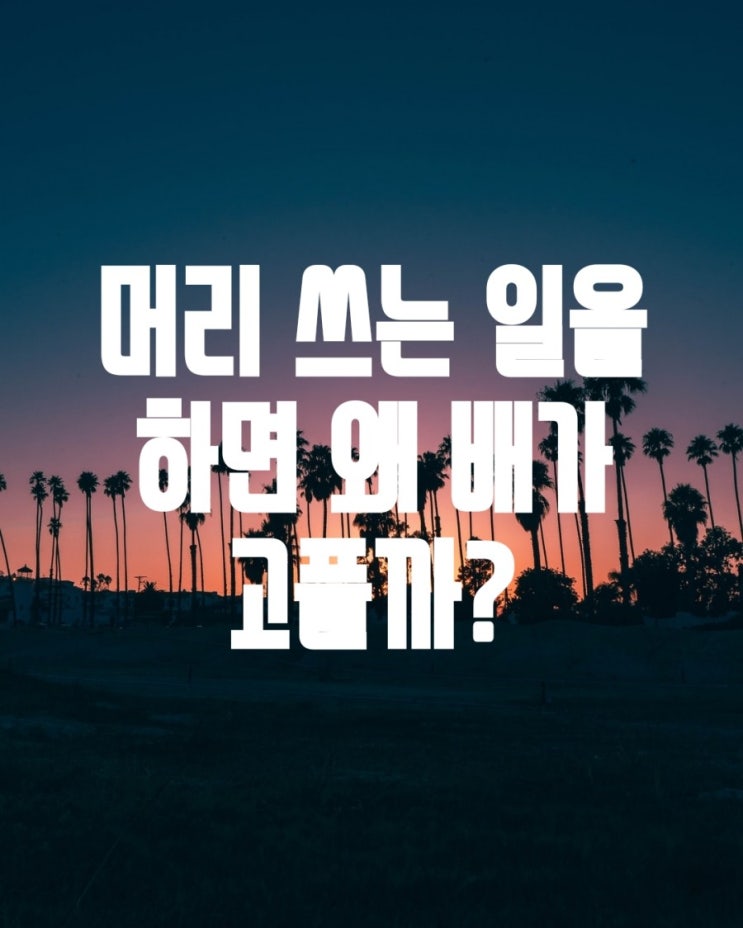  포도당만을 에너지원으로?