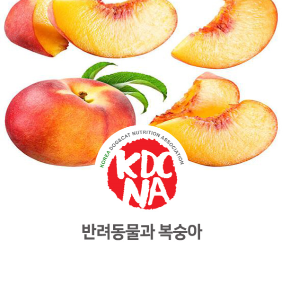  강아지 복숭아 먹어도 되나요? [한국반려동물영양협회/펫영양사/광주애견수제간식/목포/천안/공주/여수/진주]_855