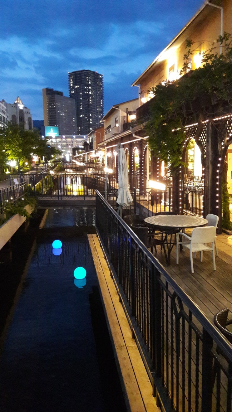  첫 해외여행이었던 일본 교토, 고베 여행