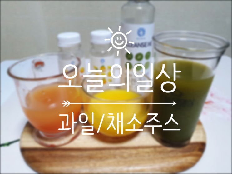  [오늘의일상] 건강에도 좋고 맛도 좋은 과일/채소주스 마시자!