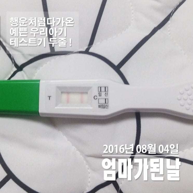  운명처럼 다가온 우리아기 임신테스트기 2줄 난 엄마다!