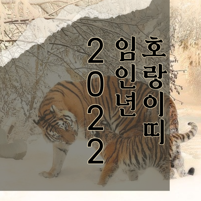  2022년 띠 - 임인년 (범)호랑이띠