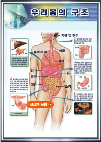 우리 몸의 신비 15가지...