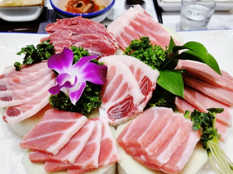  시청역 맛집 손님 모시기 딱 좋음 동원 VIP참치 서울시청점