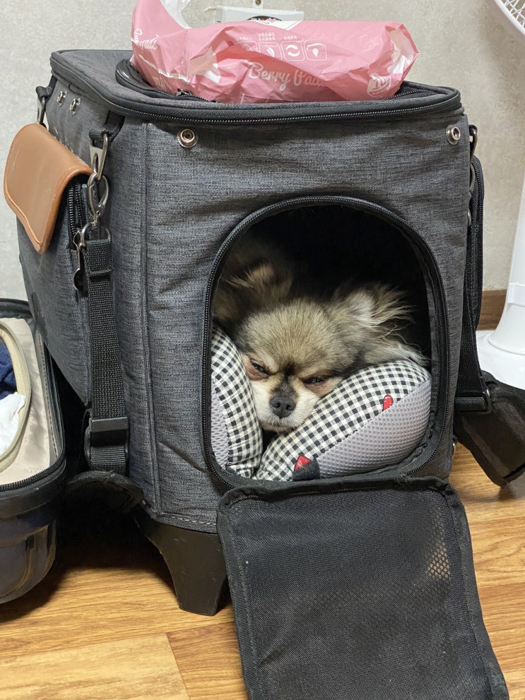  꾸꾸의 남도여행 4일차
