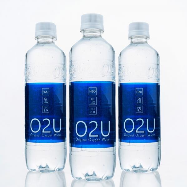 구매평 좋은 GnJ 산소수1.5L 12펫 O2U산소수 물 생수 산소수, 12개 추천해요