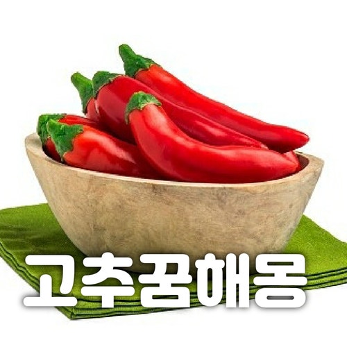 고추꿈해몽 큰고추꿈 빨간고추 파란고추꿈해몽