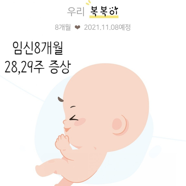  임신8개월 28,29주 임신기록(임산부 넘어짐, 소변검사, 몸무게증가, 산부인과 전원, 임산부불면증)