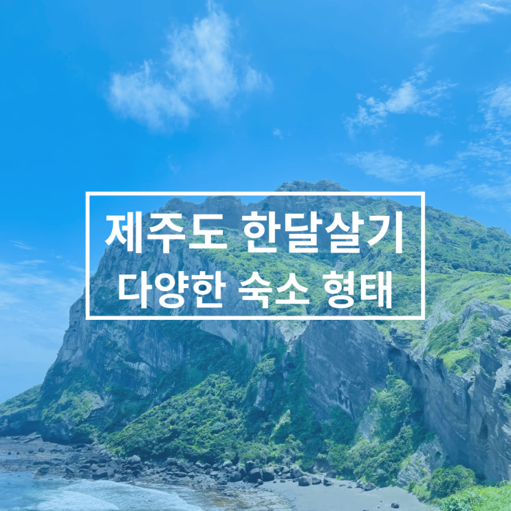 [제주도 한달살기 숙소 형태] 나에게 딱 맞는 숙소 구하기!