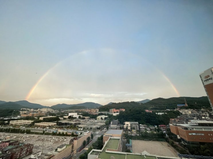  매일 한 줄 일기쓰기 - 08.31