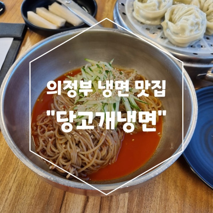  의정부 냉면 맛집 : 당고개냉면