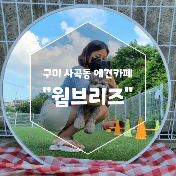  구미 사곡동 신상 애견동반 카페 [웜브리즈 warm breeze]