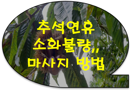 [공유] 추석연휴 소화불량엔 검지 손톱 누르세요.. 연휴 후유증 없애는 손발 마사지..