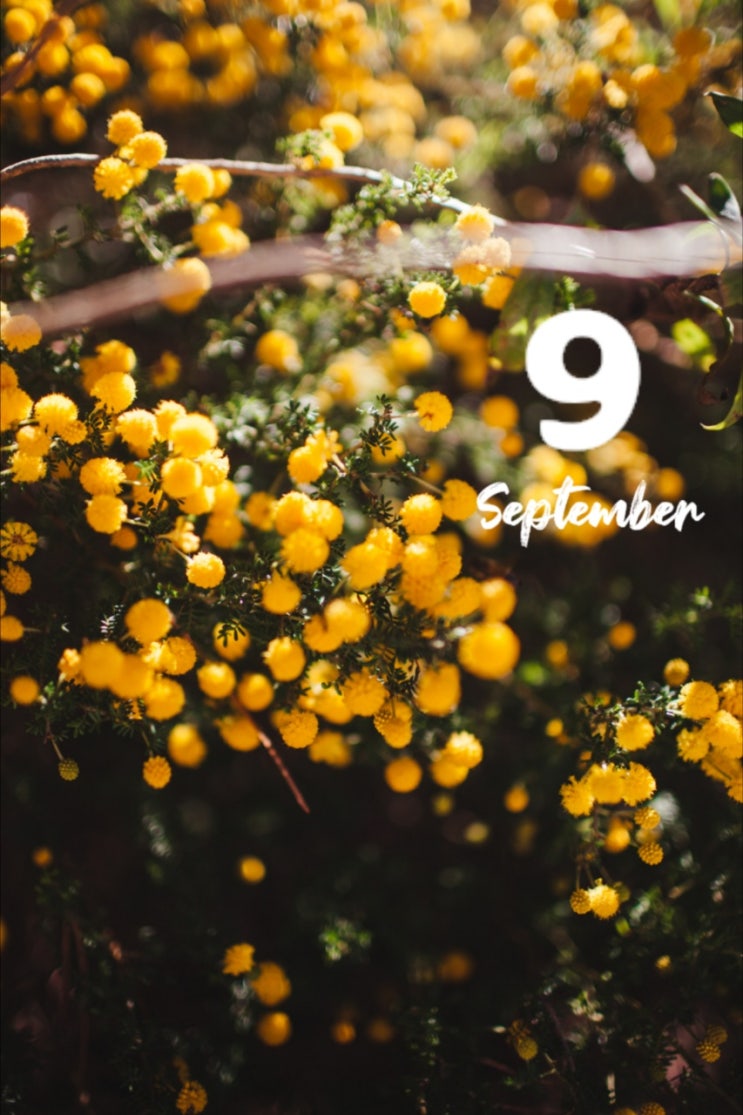  Hello September