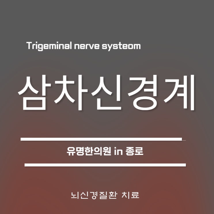 삼차신경통(trigeminal neuralgia) 2. 삼차신경계통의 구성