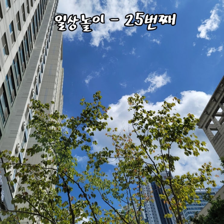  일상놀이 - 25번째