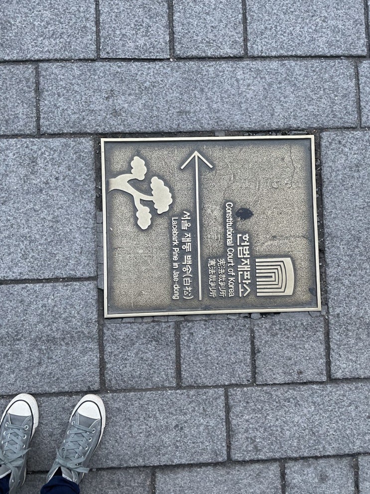  프랑스에서 결혼 출생 한국인 아동의 여권영문이름변경 거부처분취소청구, 행정소송 변호사 행정심판 판례