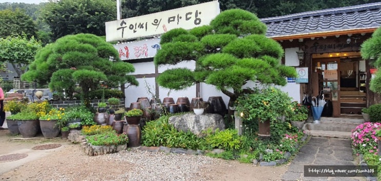  백반기행에 나온 남양주 수인씨의 마당에서 시래기 정식을 먹다