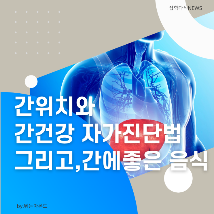  간위치와 간건강 자가진단법,그리고 간에 좋은 음식