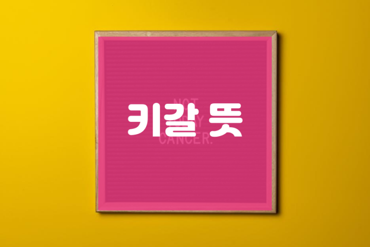  키갈 뜻 제대로 알아봐요