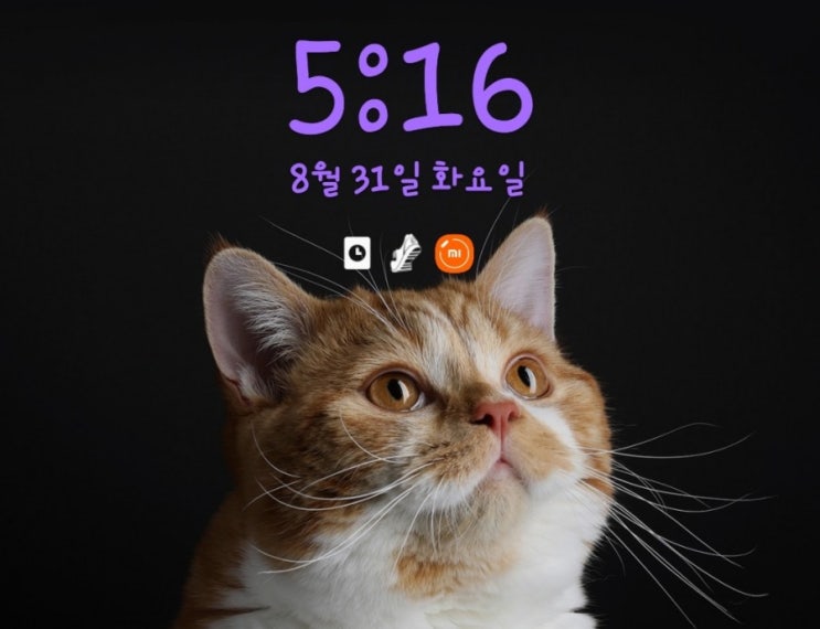  [미라클 모닝 D-86] 매일매일 일상 속에 행복한 일 가득하세요