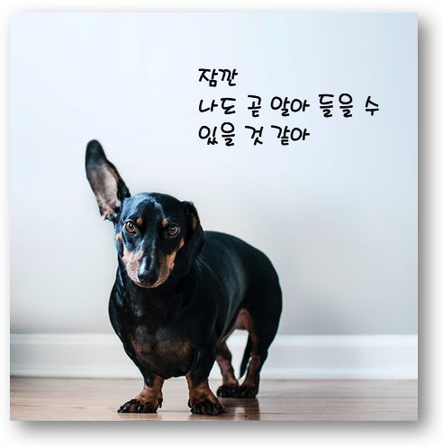  서민금융 우수대부업자 선정 너무 한거 아뉴