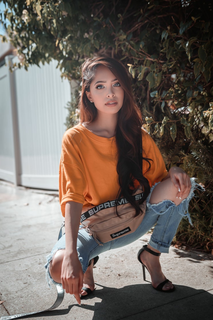 모델 모델
