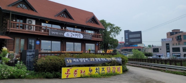  보통리 저수지 맛집 봉담 맛집 한방고미백숙 리뷰