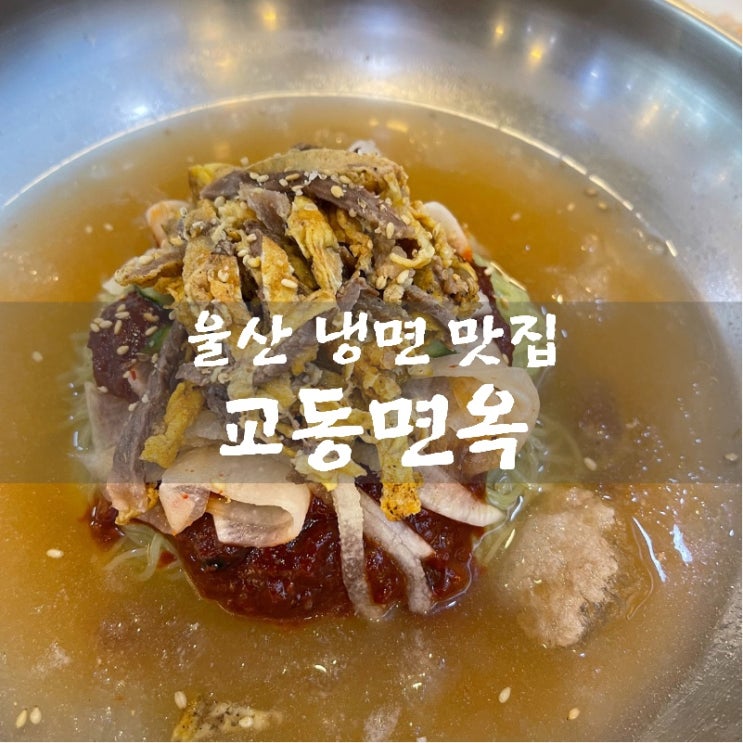  [맛집 소개] 울산 / 경주 맛집 육전이 올라간 여름 별미  물비빔면 교동면옥 후기 (육전 냉면 맛집 추천)