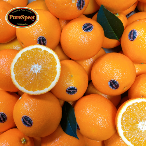 인기있는 나봉마켓 퓨어스펙 블랙라벨 오렌지, 15과, 4.5kg(특대과/개당303g내외) 추천합니다