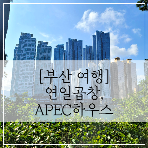  [부산 여행] 부산나들이 (feat. 연일곱창) 1탄