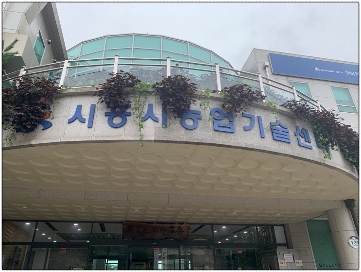  경기도 시흥시 반려동물등록 방법, 소유주 개명으로 인한 변경, 주소 변경 등 하는 방법 ! ! ! 시흥 시청으로 가시면 안 됩니다!!!!!!!
