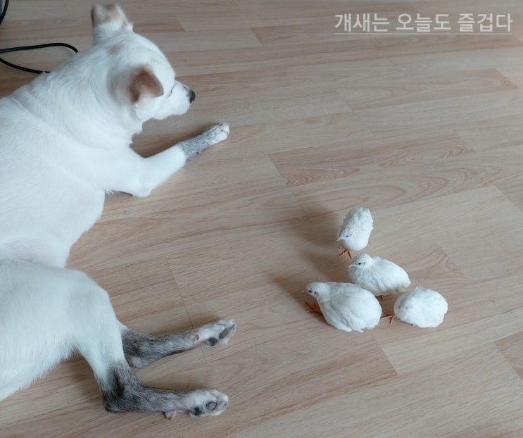  계(개)모임