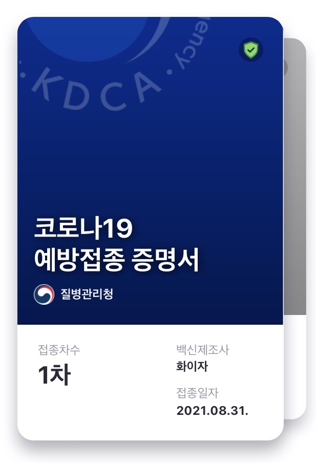  코로나19 예방접종(화이자) 1차 접종 후기 / 백신 접종 후 타이레놀 복용, 대체약품 등