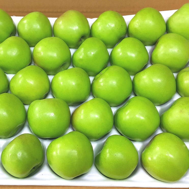 의외로 인기있는 5kg 아오리사과 풋사과 햇사과 작은사이즈 ··· 의외로 인기있는 5kg 아오리사과 풋사과 햇사과 작은사이즈 ···