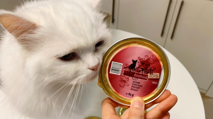 고양이주식캔 기호성 좋은 캣츠파인푸드 고양이주식캔 기호성 좋은 캣츠파인푸드