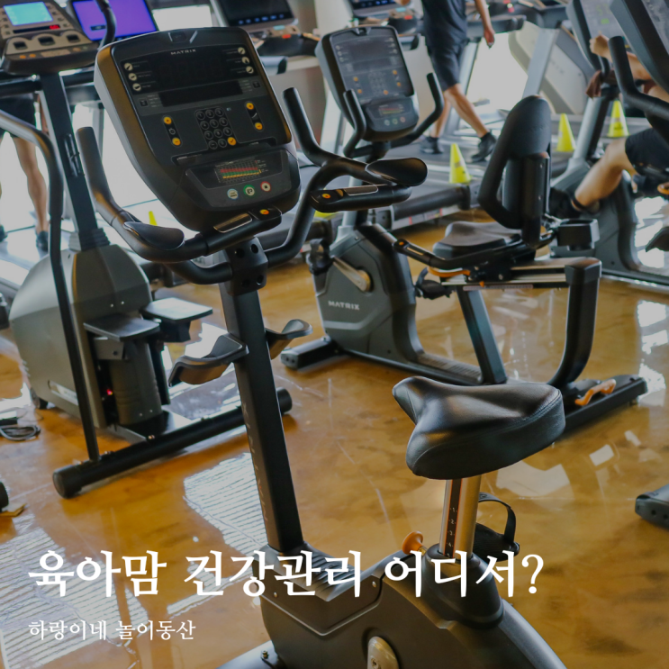  광주 헬스장 진월동에서도 찾아오는 위휘트니스 봉선점