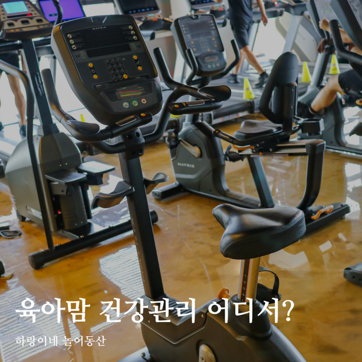 광주 헬스장 진월동에서도 찾아오는 위휘트니스 봉선점