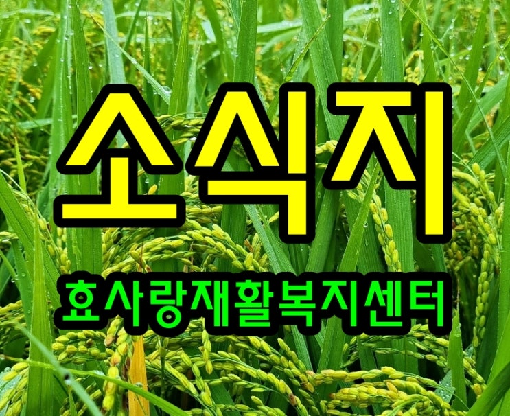  2021년 9월 소식지/프로그램계획표/식단표