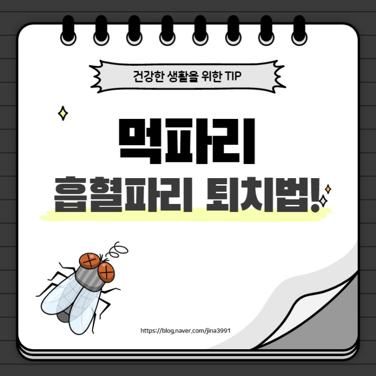  먹파리 물림, 흡혈파리 물리면 증상과 퇴치법
