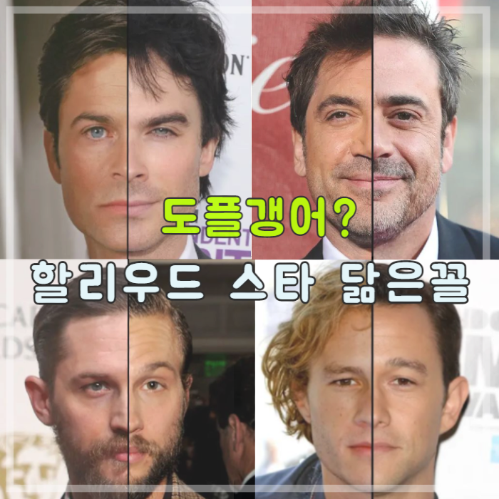 도플갱어로 의심받는 할리우드 스타 닮은 꼴 모음