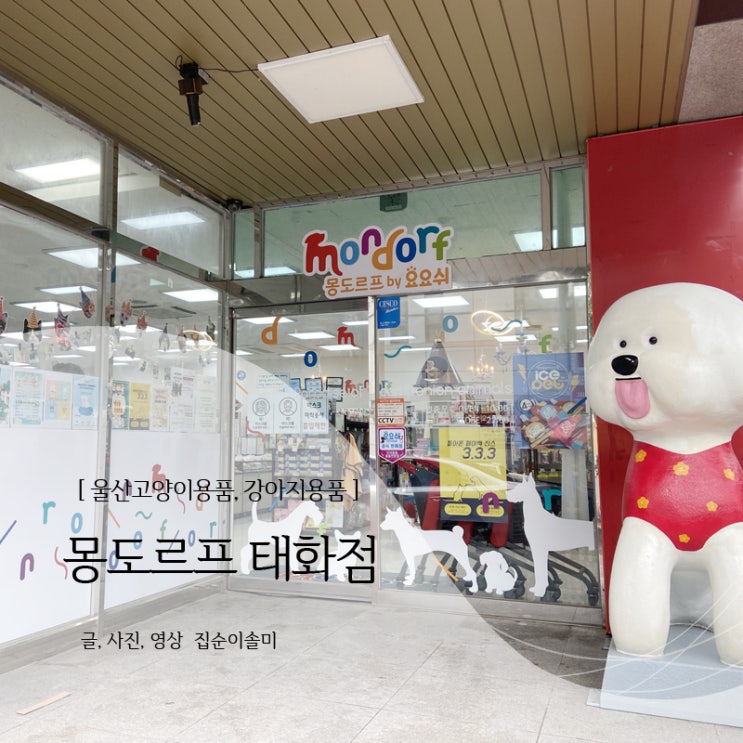  울산고양이용품 애견용품 천국 몽도르프태화점