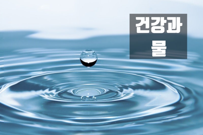 고려한백의 혈액순환에 좋은 오가피