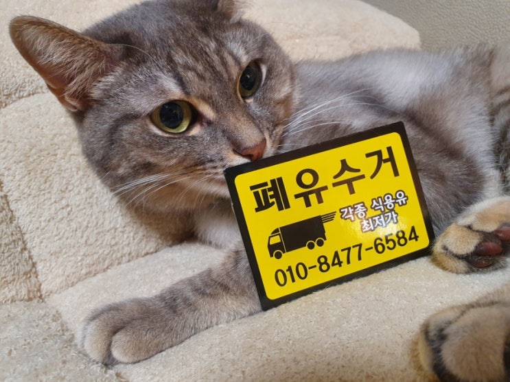  수원 폐유 , 폐유가격을 잘 받는 방법!