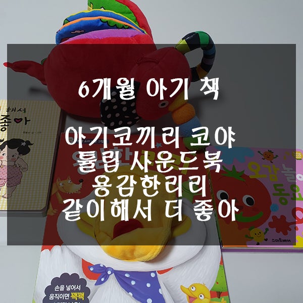  6개월 아기 책 - 아기 코끼리 코야, 튤립 사운드북, 용감한 리리 등