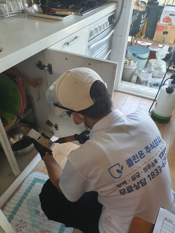  [바퀴] 가정 바퀴벌레 작업 현장 후기